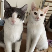 ひだまり 会員画像