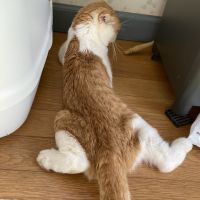 こうせい430 会員画像