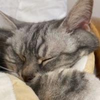 こやまゆき 会員画像