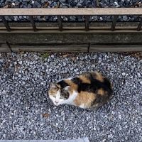 きんい 会員画像