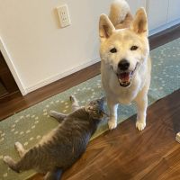 ◎ぽんちゃん◎ 会員画像