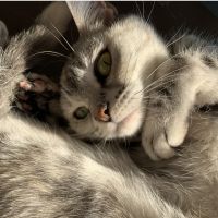 たかはしもも 会員画像