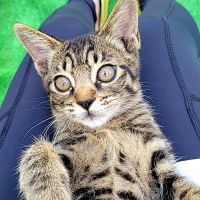 オカさん 会員画像