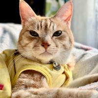 ぺーちゃん5515 会員画像