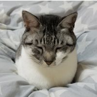 がっきぃ28さん