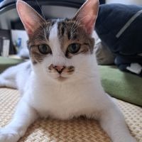 こまちのママさん