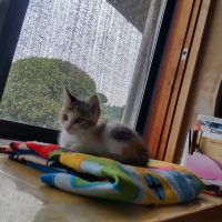 ウスキ 会員画像