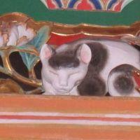 サビネコ脱走さん