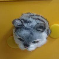 つかっちー 会員画像