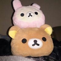 ただっしぃ 会員画像