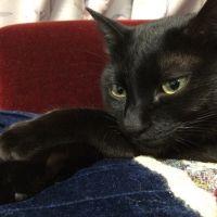 りなまる 会員画像