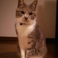 会員画像