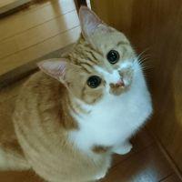 まりんまりん 会員画像