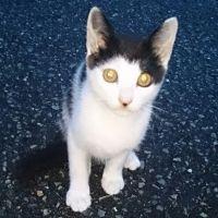 ジャスティ 会員画像