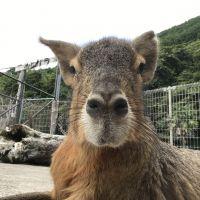 先崎 会員画像