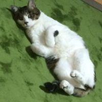 Hiyo3 会員画像