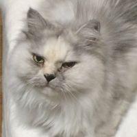 ちあきちあき 会員画像
