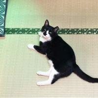 れみ太郎 会員画像
