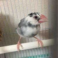 会員画像