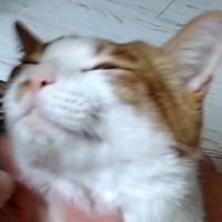 kamizonoさん