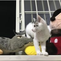 会員画像
