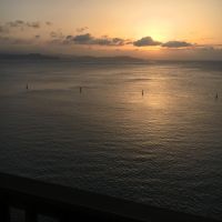 まるかもめ 会員画像