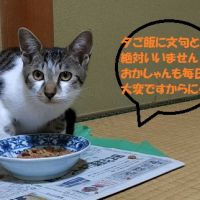 カレンブラック 会員画像