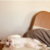 ここまるまる 会員画像
