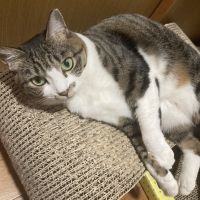 井上なほさん