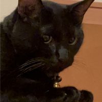 クロノスケさん