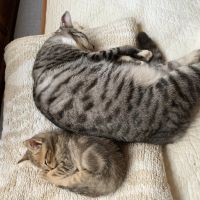 会員画像
