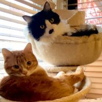 ももりん1228 会員画像