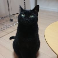 milky ice 会員画像