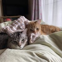 そらとりく 会員画像