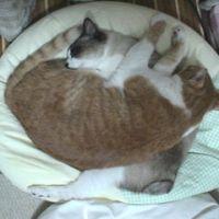 くちん 会員画像