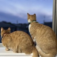 ルーク&マル 会員画像