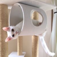 パトラママ 会員画像