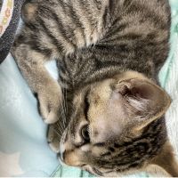 ゆー918♪ 会員画像