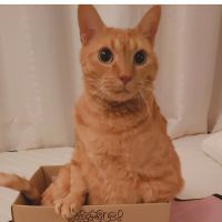 みみちゃん。 会員画像