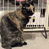 そそるんさん