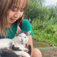 うしとねこさん