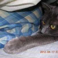 うらら845 会員画像