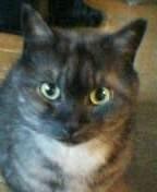 アジュンマ 会員画像