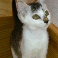 こはるびより 会員画像