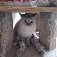 ほずちゃん 会員画像