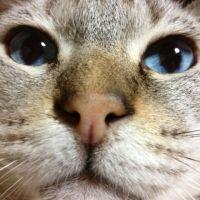 konkon00 会員画像