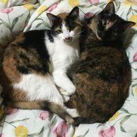 Haruka0723 会員画像