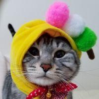 pochi01 会員画像