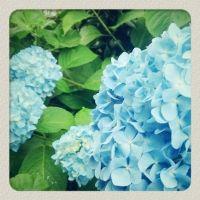 sayupoo 会員画像