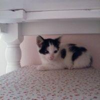 みえろいど 会員画像